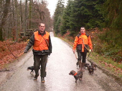 de la ferme du Gouy - Chasse en forêt d'Ecouves